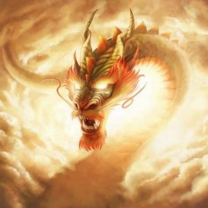 14 dragon asiatico