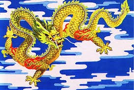 48 dragon huanglog
